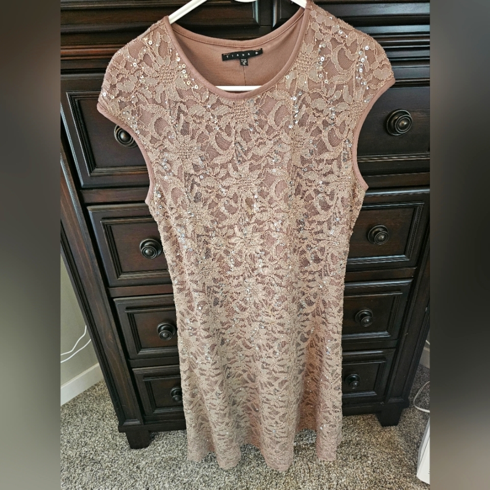 Elegant Lace Dress in Brown Woth Sequence